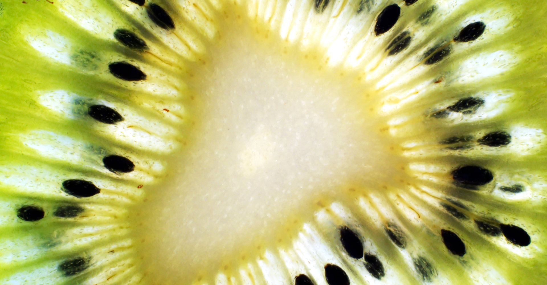 HRS branded kiwi fruit image